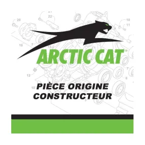 3303-461 - ARCTIC CAT SEAL DUST