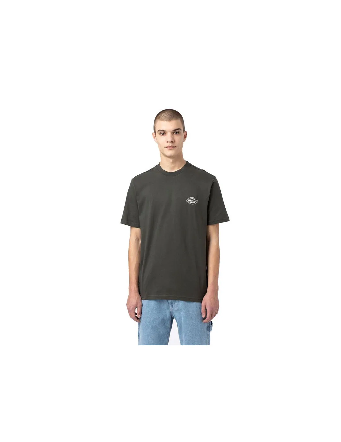 T-shirt Dickies Holtville Olive Green Hommes